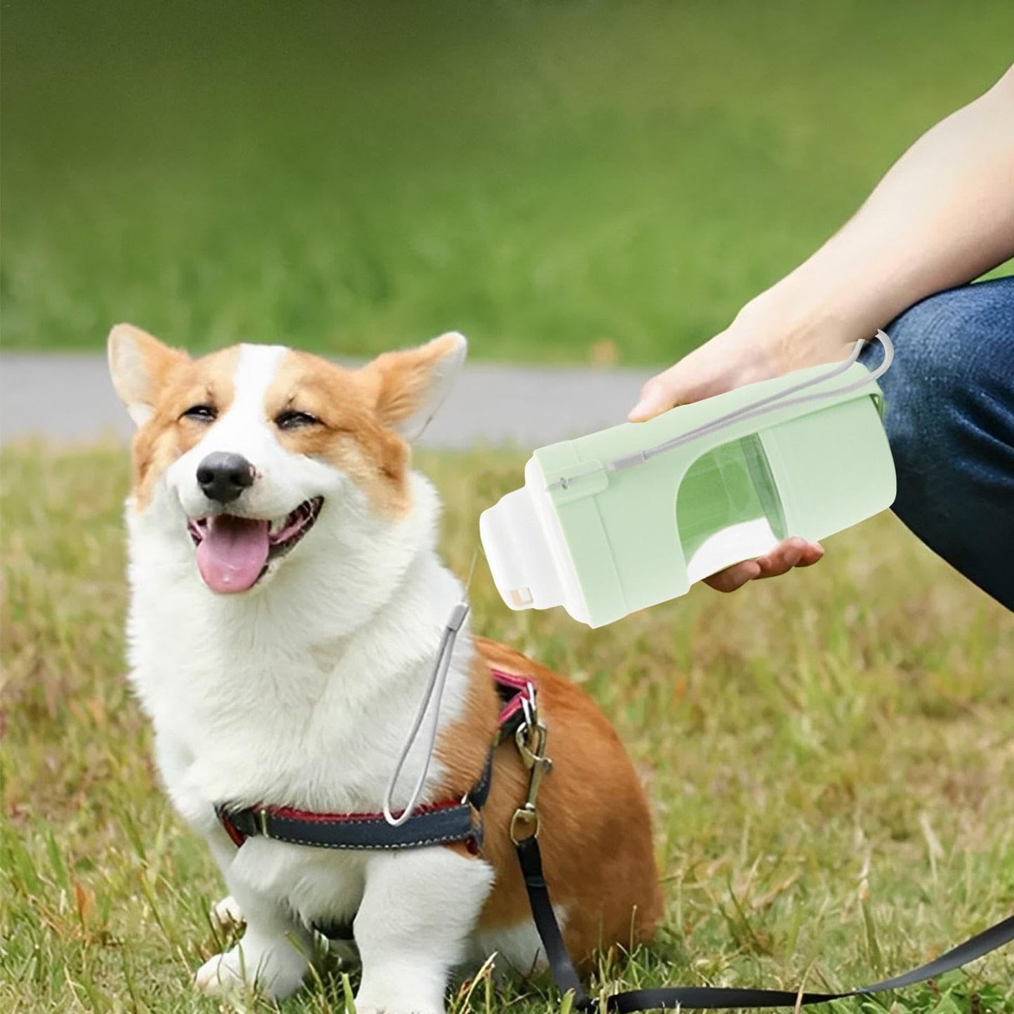 2 In 1 Travel Dog Water Bottle Pet Water Dispenser Feeder Drinking Feeder Dog Outing Water Feeder Pets Outdoor Portable Cup Pet Products - HD Wireless Product #5