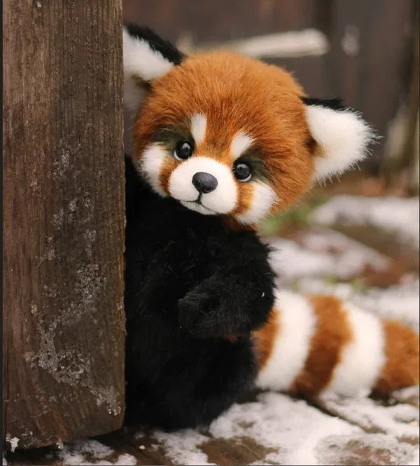 Cotton Plush Doll Black Bear Raccoon Toy c5a57832 1508 4692 bd69 9f93a9e955f0