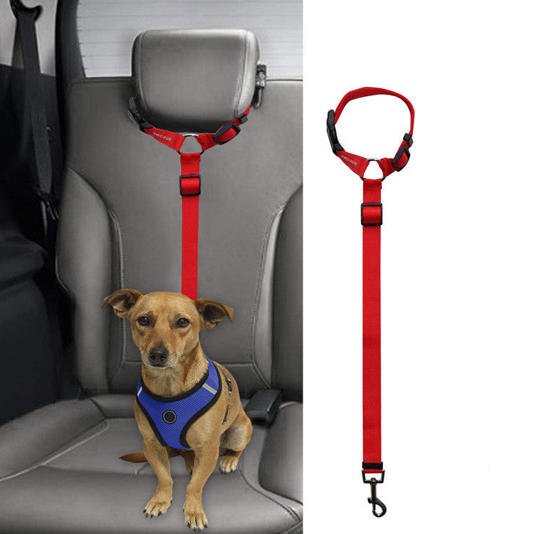 Car Backseat Pet Leash for stability cb9531ef 68bc 4134 b740 a65e36a2af55