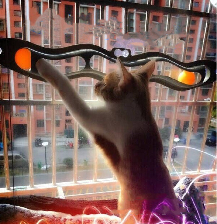 Windowsill Pets Toy Cat Track Ball Pet Products d1eb1185 66b5 40e2 97ff e92a378f3008