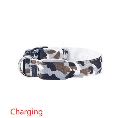 Camouflage pet supplies luminous dog collar dc253829 5277 47f0 920c 3eaa938674eb