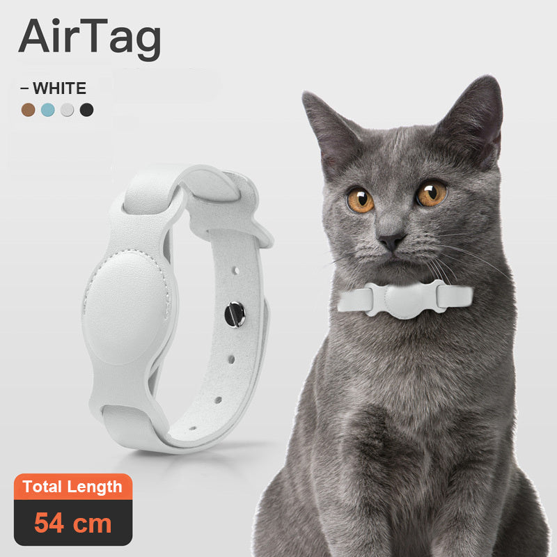 Anti-lost Device Cat And Dog Pet Collar Chain Leather Case ddc40d0f c1a4 40a0 b2f8 3e09dbeaa272