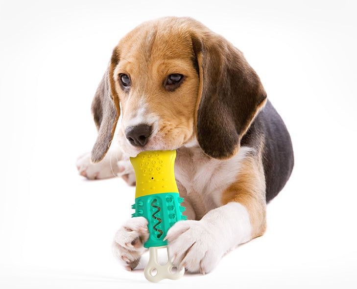 Summer Cooling Cleaning Care Teeth Pet Chewing Supplies df84569a f9a5 4d21 b779 e060d2544c19