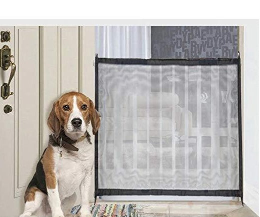 The dog obstacles security fence e648fcad 85ed 42db a517 873bf309952a