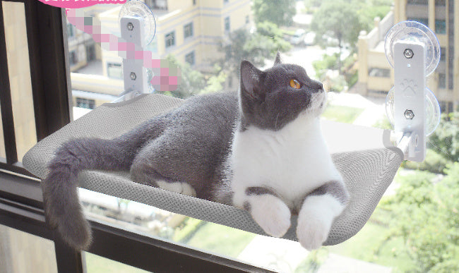 Cat Suction Cup Window Glass Hammock Pet Cat Pets Products ed258d55 b185 43b4 8a55 25350c243a12