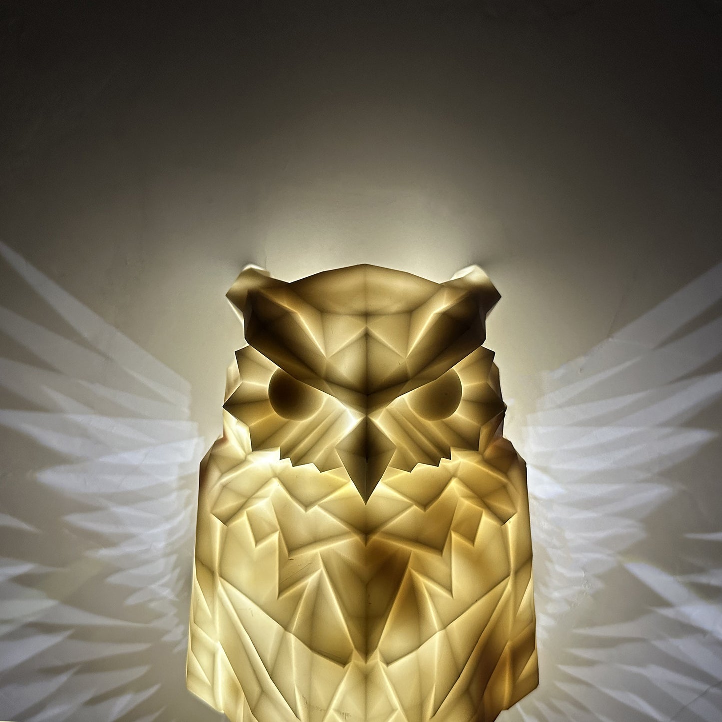 Injection Molding Owl Eagle Night Light Wall Decorative Light f767acc5 8138 4601 b5c9 3c3fe24b9c3f