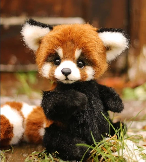 Cotton Plush Doll Black Bear Raccoon Toy fbc5a155 5a62 4f52 8b51 4797a18f49d3