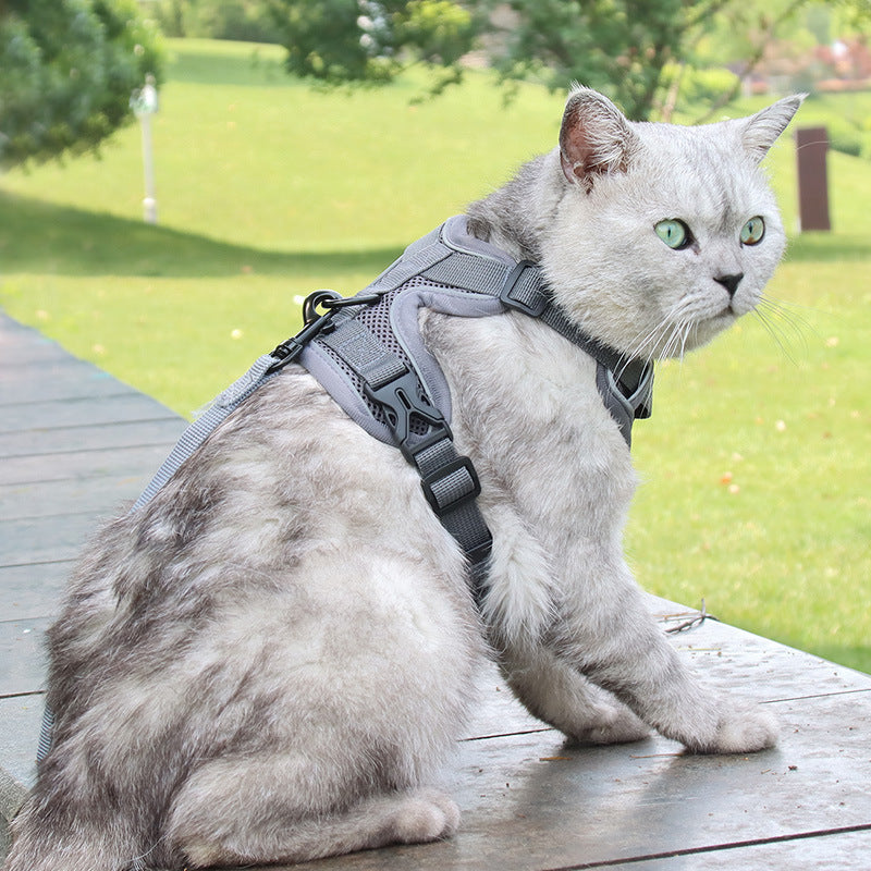 Cat-specific Anti-breakaway Cat Rope Silver Gradient Chain ffeb086f 997f 4a94 b90f c4ef9fbd1e48