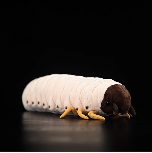 Stuffed Animals Simulating Chickens And Worms 0070c0e7 4ac7 401f 815e ba089accdf4e