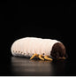 Stuffed Animals Simulating Chickens And Worms 0070c0e7 4ac7 401f 815e ba089accdf4e 28e05466 cd38 431d 9739 f7b3815593b8
