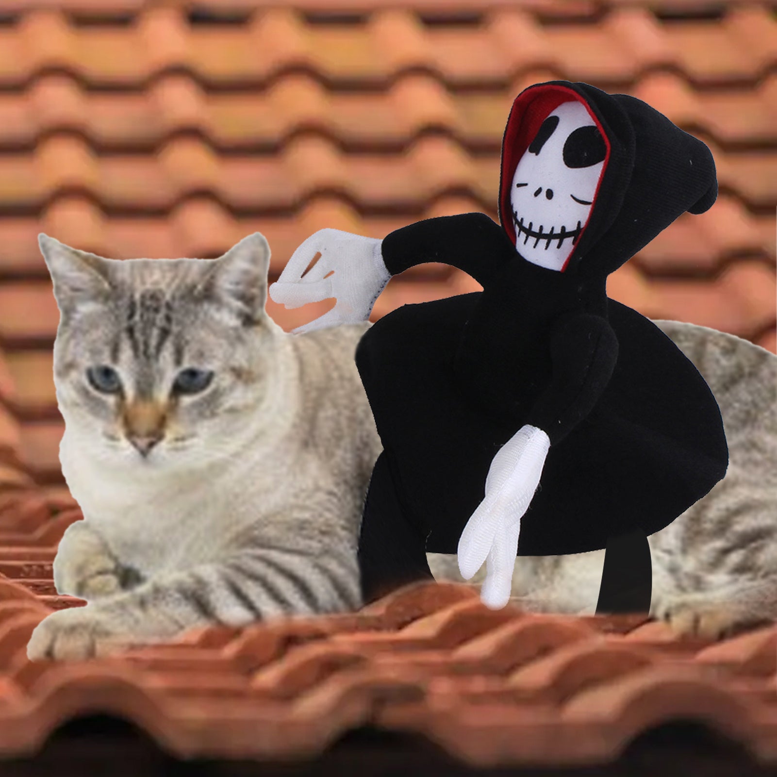 NEW Funny Pet Halloween Costume Halloween Pet Decoration Dress Up Pet Cosplay Costume Halloween Pet Clothes Spider Pumpkin Ve