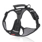 New Pet Chest Reflective Commuter Strap 04e55bd6 a890 4c71 8907 2fdc9bda19da