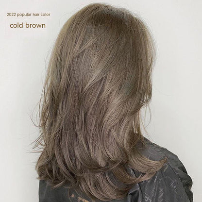 Ammonia-free Hair Color Paste Monochrome Paste Cover White Hair Multi-segment Color One-step Black Tea Gray Blue Black Hair D