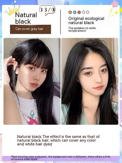 Ammonia-free Hair Color Paste Monochrome Paste Cover White Hair Multi-segment Color One-step Black Tea Gray Blue Black Hair D