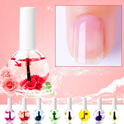 Nail Beauty Dried Flowers Nutrition Nail Treatment Oil Anti-agnail Nail Edge Moisturizing Nail Base Coat Natural Dried Flower