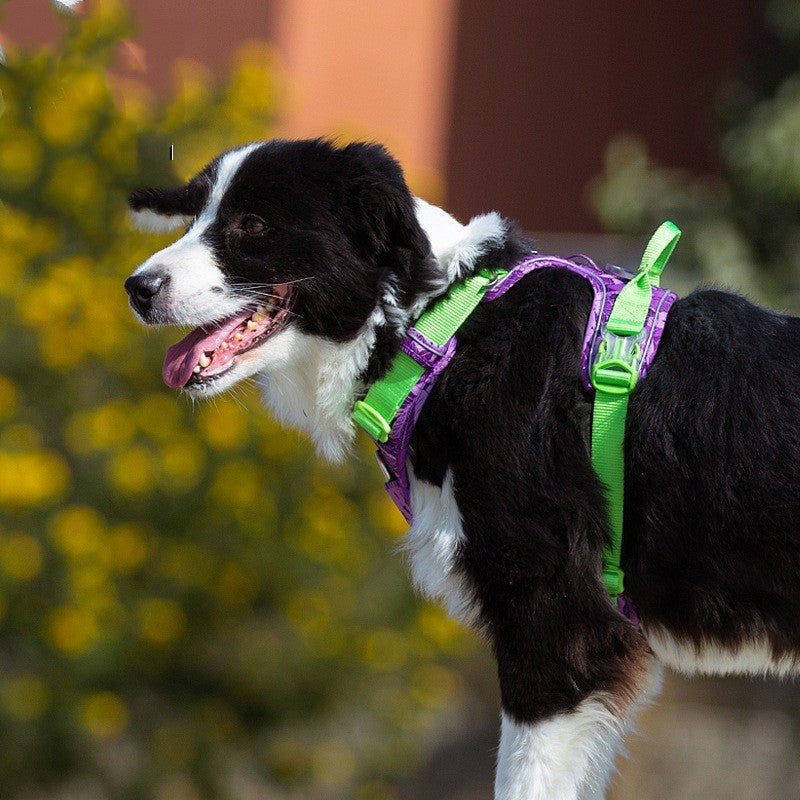 Pet Dog Chest Strap Camouflage Hand Holding Rope 0768ef89 fd5e 4d4a 8c2e 3fcf5f59c76a