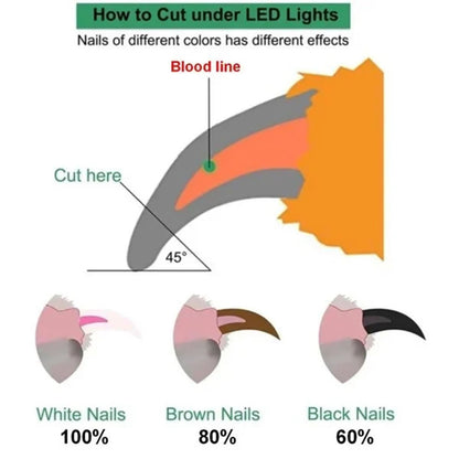 Pet Nail Clippers With LED Light Dogs Cat Nail Scissors Professional Trimmer Tool Care Grooming Supplies 07874fba 33fd 47a4 9