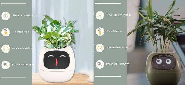 Smart Planter Endless Fun Over 49 Rich Expressions 7 Smart Sensors And AI Chips Make Raising Plants Easy And Fun 08890da8 0cb