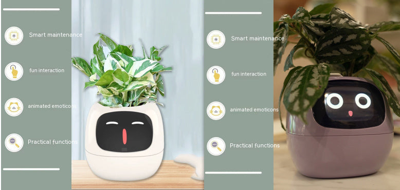 Smart Planter Endless Fun Over 49 Rich Expressions 7 Smart Sensors And AI Chips Make Raising Plants Easy And Fun 0a0595d7 4e5