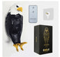 Injection Molding Owl Eagle Night Light Wall Decorative Light 0a37ca18 0e15 4f3d acf0 abfe1e3046cc