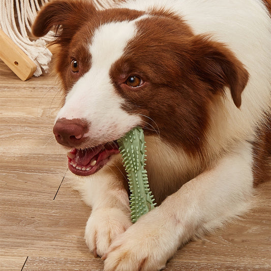 Chew Toys For Dog Teeth Cleaning 0b99c382 f80d 4fc2 9abb b0ce675f2a15