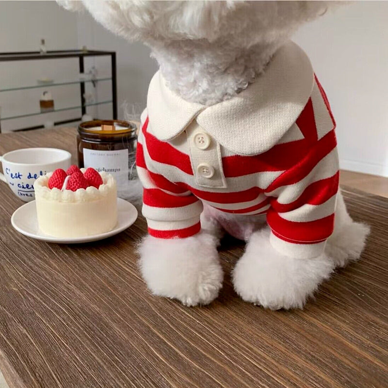 Pomeranian Poodle Small Dog Cat Dog Clothing 0cb80943 8b30 4278 94a7 8569ad5c6106