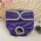 Dog Shorts Puppy Physiological Diapers Panties Waterproof Adjustable Cute Pattern Dog Physiological Pants Pet Costumes Suppli