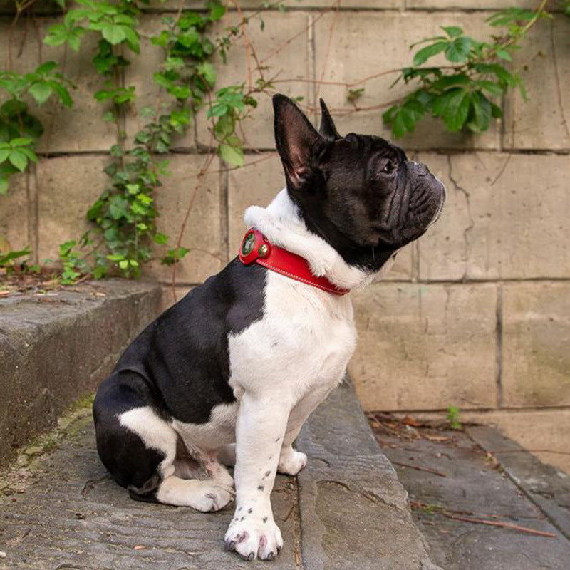 Fruit Tracker Collar Dog Positioning Collar Protective Leather Case 10514ca8 fd11 412c 89d9 0af39e6b994c