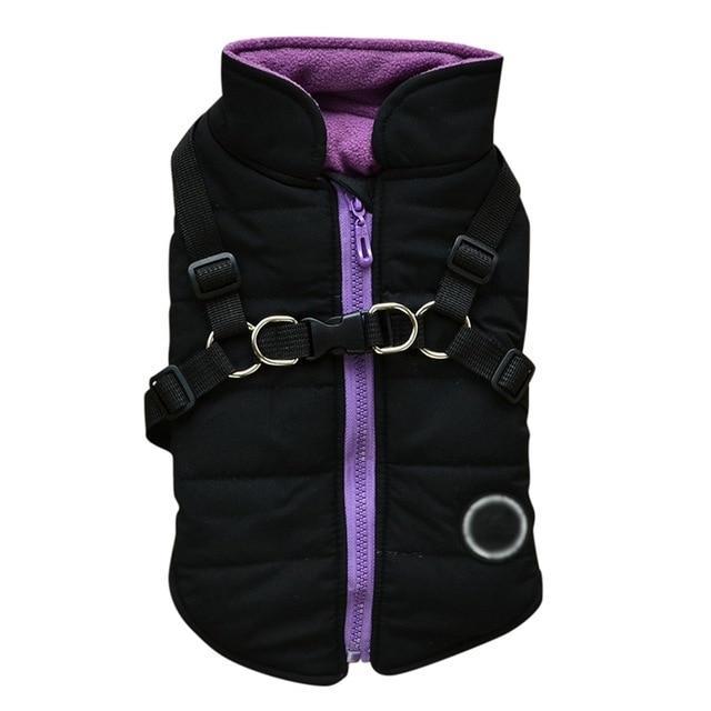 Dog zipper jacket 1052254105924