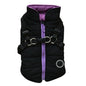 Dog zipper jacket 1052254105924