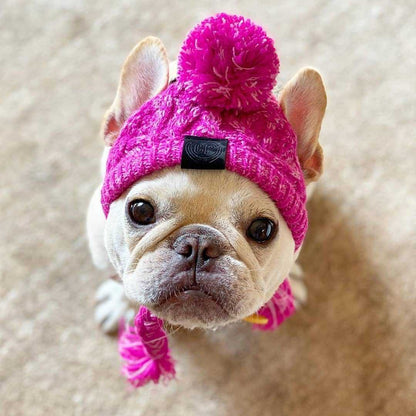 Wool Ball Thermal And Windproof Puffy Ball Knitted Dog Hat 107f517f 5f0b 4e96 9459 9193ddba7ab7