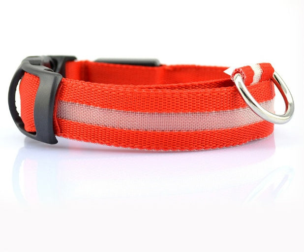 Safety Dog LED Collar 1081055909830