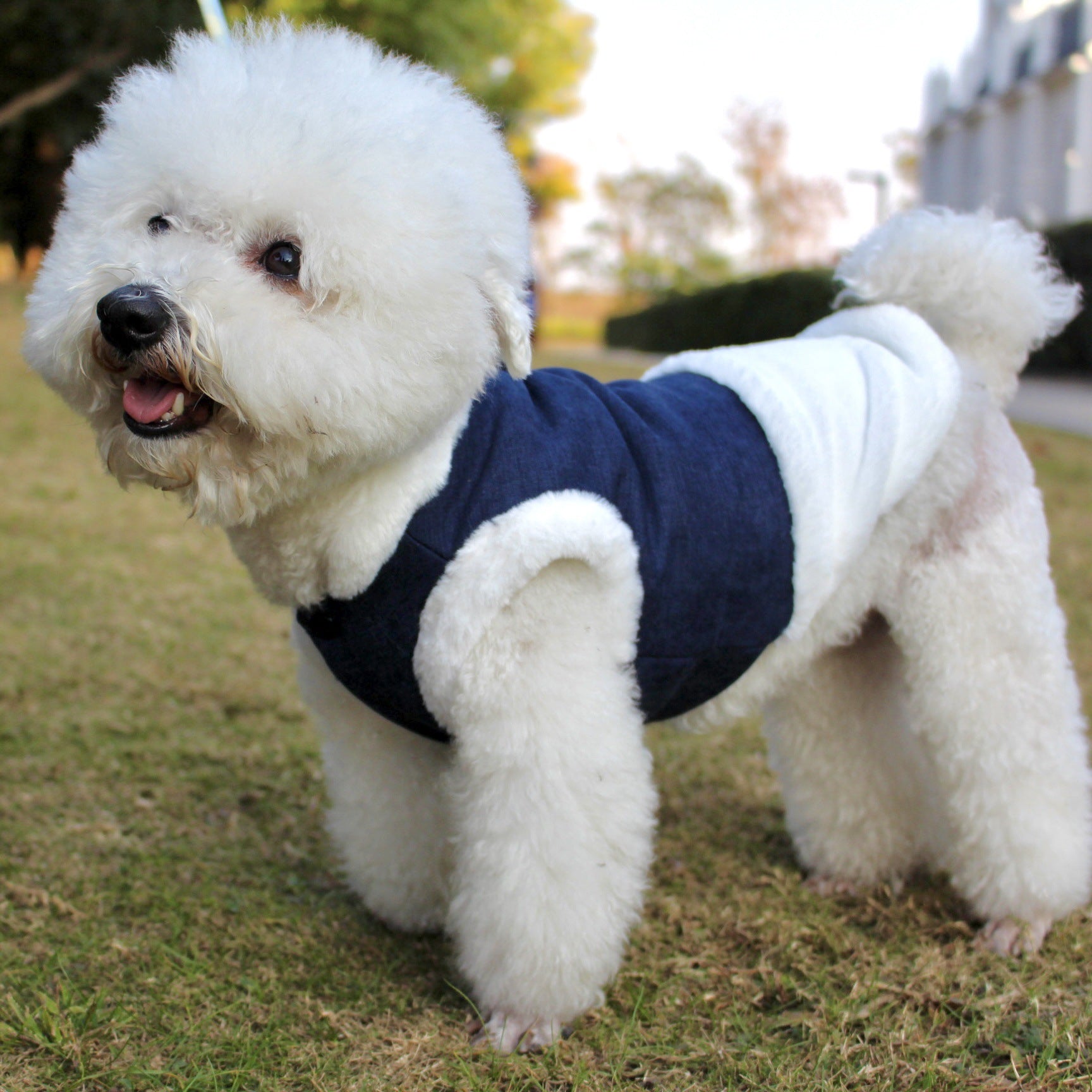 Pet Clothes Plush Warm Dog Vest Vest Style Dog Clothes Fur Collar Pet 10886874915416