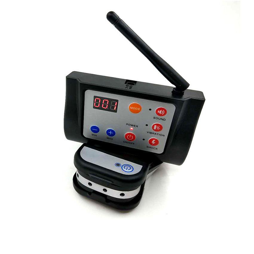 Two-in-one dog training device 1100679127013
