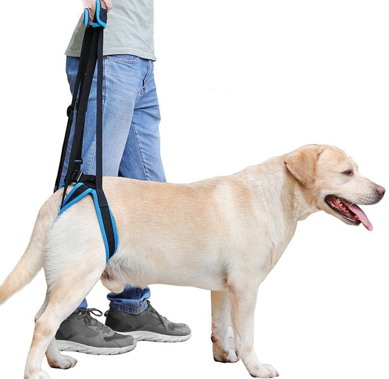 Pet Leg Strap Walking Support Dog Leg Support 110311614125