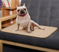 Dog Urine Pad Absorbent Pad Diaper 112457887882