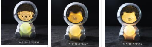 Starry sky animal atmosphere night light 117de579 12c4 4232 8bd7 4ec949d61da1