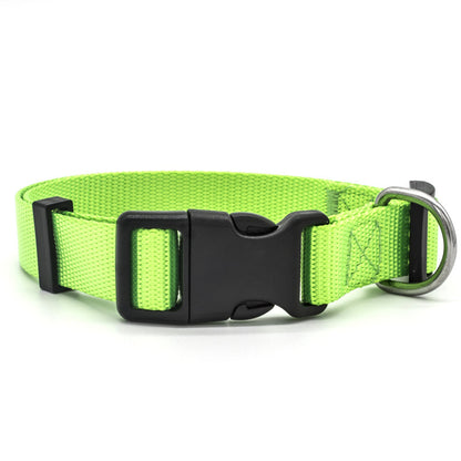 New Pet Collar 120824377481