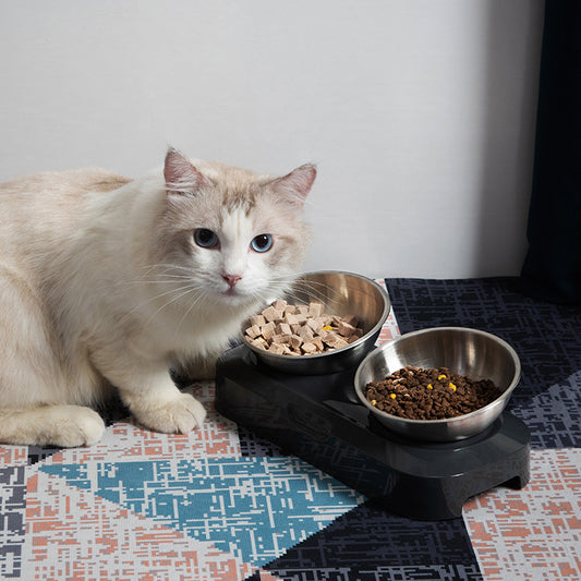 Pet Stainless Steel Bowl Pet Double Night 1208291500377