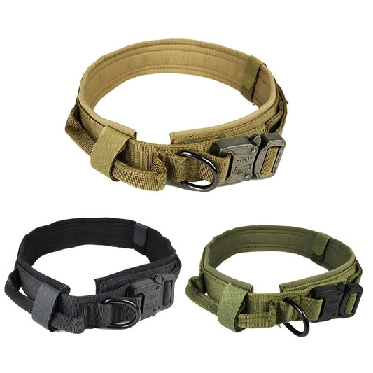 Dog collar 124567089768035