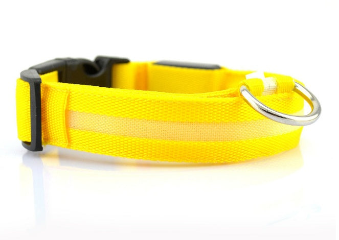 Safety Dog LED Collar 12501476005704