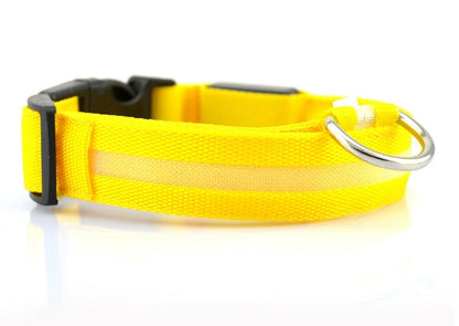 Safety Dog LED Collar 12501476005704