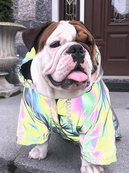 Microcrystalline reflective dog clothes 128235090573