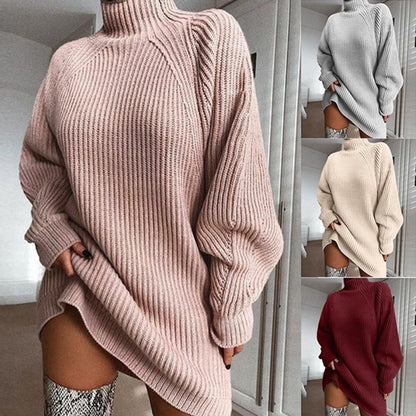 Solid Turtleneck Long Sweater Winter Warm Women Sweater Dress 1286533932712
