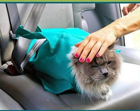 Pet Cat Breathable Outdoor Travel Shoulder Bag Sling Carrier For Puppy 1297312298548