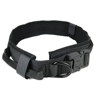 Dog collar 1302050899372