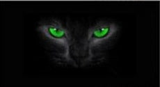 After the car manufacturers selling creative funny stickers horror 3D stereo file Glass Sticker personality perspective 13759
