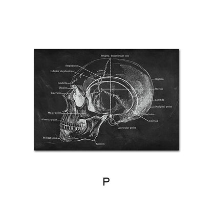 Canvas Painting Of Human Anatomy Skeleton Organ System - 图片 3