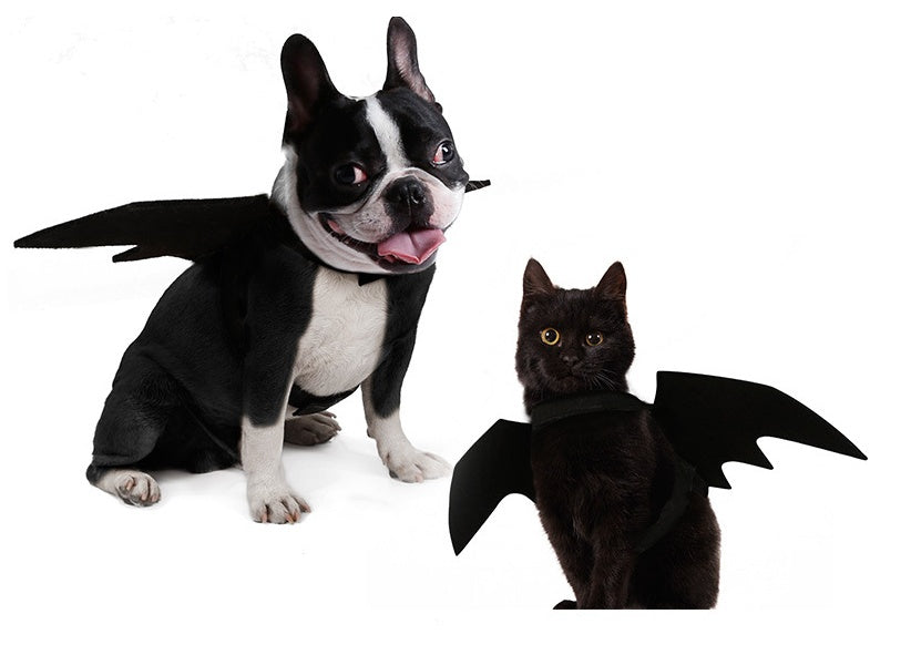 Pet bat wings clothes 14067425865915