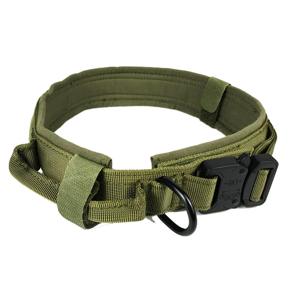 Dog collar 14231118463